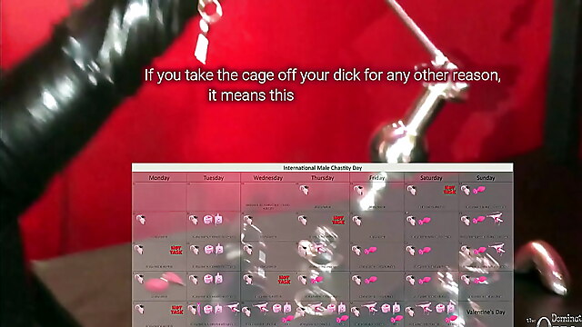 Sissy cuckold training HD video